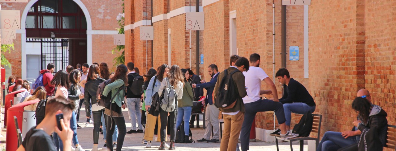 Economia significa... (VIDEO)